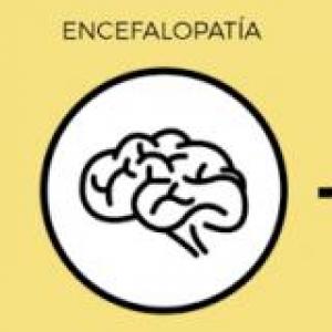 Retroalimentación Encefalopatía Hipoxico isquemica