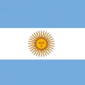 Buscando a  mi  Bandera 