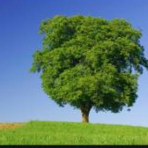 Portada del juego GEOGRAPHY AND NATURE – Idiomas