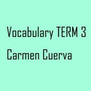 Portada del juego Term 3 Vocabulary! – Idiomas
