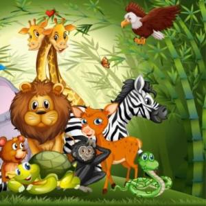 Encuentra a los animales