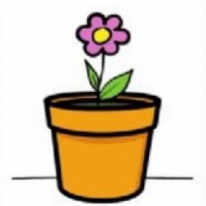 SECUENCIA: CRECIMIENTO DE UNA PLANTA
