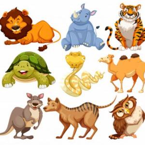 ANIMALES