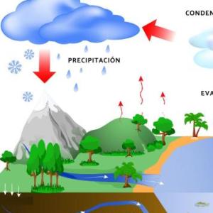 El Ciclo de Agua