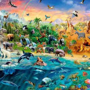 Imagen de portada del videojuego educativo: MUNDO ANIMAL, de la temática Ciencias