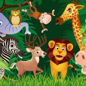 Aprendamos de los animales de la selva