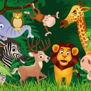 Animales de la selva