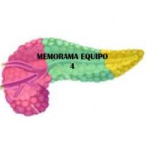 MEMORAMA PANCREAS (ENZIMAS AMILASA Y LIPASA)