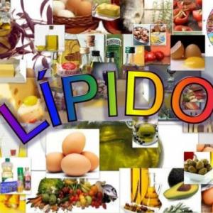 LOS LIPIDOS