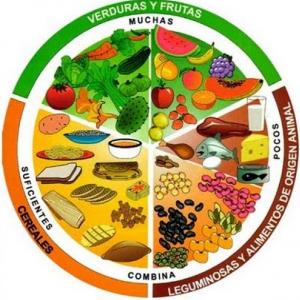 GRUPOS DE ALIMENTOS 12