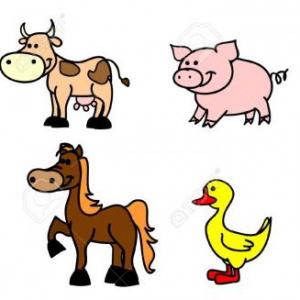 ANIMALES DOMÉSTICOS