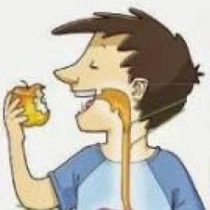 DESCUBRIENDO EL APARATO DIGESTIVO