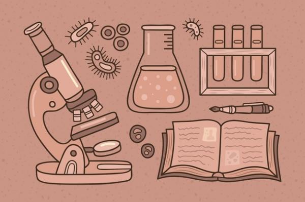 El microscopio y sus partes