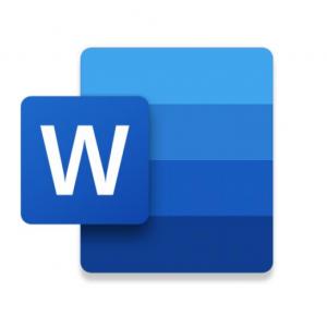 Ms Word