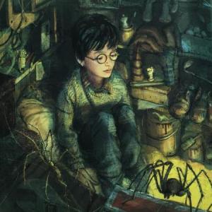 Harry Potter y la piedra filosofal.