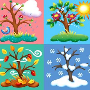 SEASONS