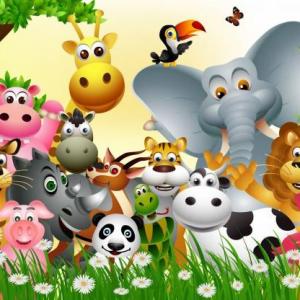 Conoce a los animales