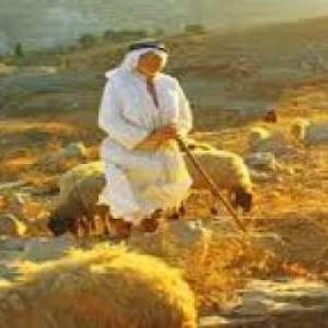 1 Samuel 13 al 16