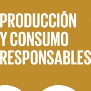 Clasifica los tipos de producción
