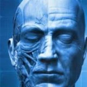 SISTEMAS DEL SER HUMANO
