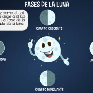 Fases de la Luna 