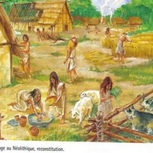 Historia de la humanidad 