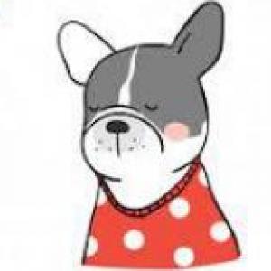 Animales invertebrados 