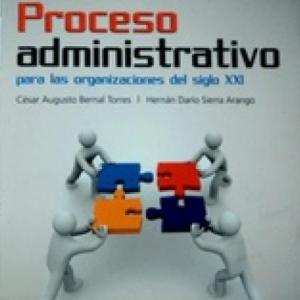estructura organizacional