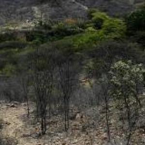 Juego sobre Chaparrí
