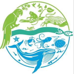Niveles de Biodiversidad