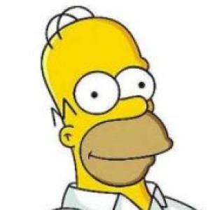 HOMER CONTABLE