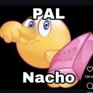 Portada del juego pal nacho – Artes