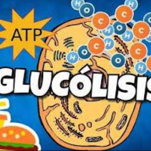 Imagen de portada del videojuego educativo: Glucolisis, de la temática Química