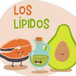 DUCHAZO DE LIPIDOS