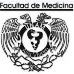 IB 1