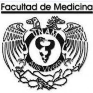 IB 4
