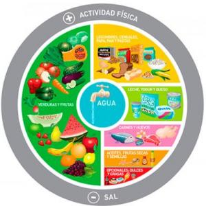 ALIMENTOS