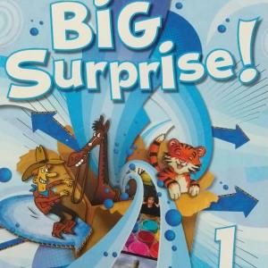 Portada del juego La oca – Idiomas