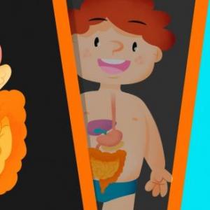 Imagen de portada del videojuego educativo: Descubriendo el recorrido de los alimentos., de la temática Alimentación