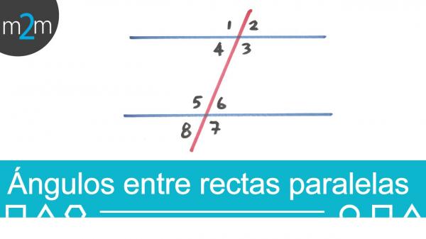 Portada del juego angulos entre paralelas y postulados de congruencia (triangulos) – Matemáticas
