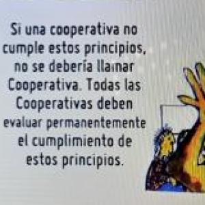 NUESTRA COOPERATIVA NUESTRA CASA - ELEMENTOS QUE DIFERENCIAN A LAS COOPERATIVAS DE LOS BANCOS