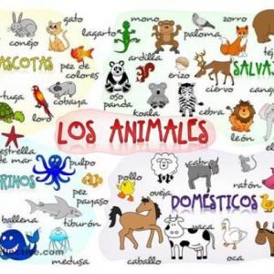 Animales de la granja