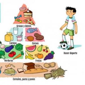 CLASIFICACIÓN DE ALIMENTOS