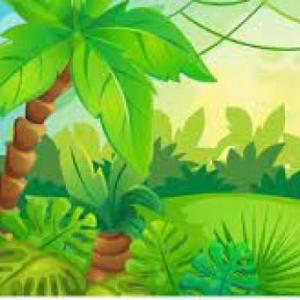 Animales de la selva