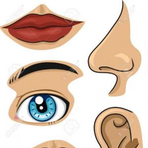 body parts comic