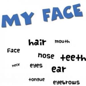 face parts