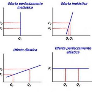 Elasticidad de la Demanda
