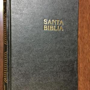 LIBROS DE LA BIBLIA 1
