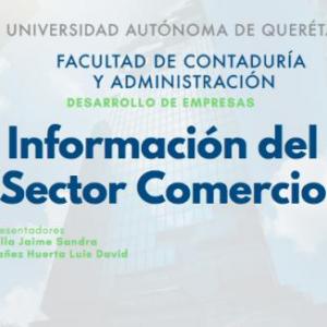 Sector comercio