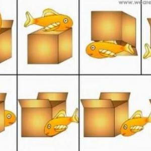 Portada del juego Prepositions of place. – Idiomas